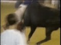 No bull can resist it... naked