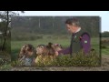 Nationaal Groenfonds Natuurprijs 2009 - Curringherveld