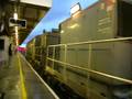 73205/209 MPVs & 66706 + horns