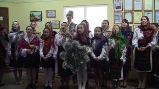Tradiții de Sfântul Vasile și Sorcova la Consiliul raional Dubăsari