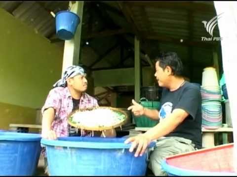 การเพาะถั่วงอก - Playlist : http://www.youtube.com/playlist?list=PLE94913E3F19985D7.