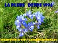 romeria virgen de piedras alba, el almendro y villanueva de los castillejos - huelva - la plebe 2006