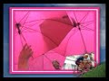 le rose aurait-il supplant� le jaune cette ann�e sur le tour de france ? c�cile serais-tu dans la course ? visionnez la vid�o de son  �ventuel passage...
modette