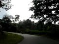 Agumbe/Shivamogga drive Agumbe/Shivamogga drive