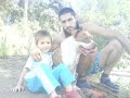 pitbull terrier una gran raza no reconocida