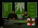 Cannabis Common Sense 443