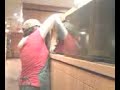 Hannah got her arm stuck!