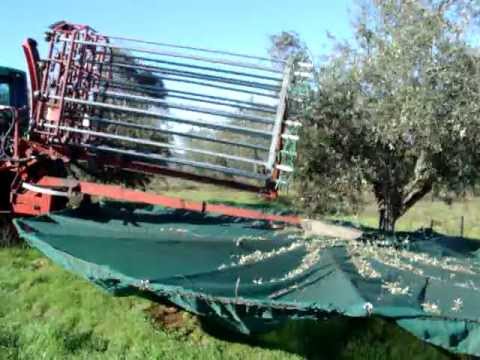 ΜΗΧΑΝΗΜΑ - ΠΛΗΡ ΓΕΩΡΓΟΥΛΗΣ ΓΕΩΡΓΙΟΣ ΚΑΤΑΣΚΕΥΕΣ ΑΓΡΟΤΙΚΩΝ ΜΗΧΑΜΗΝΑΤΩΝ ΜΑΙL GEORGOULIS2009@YAHOO.GR ΚΙΝ 6947834023.