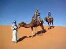 Maroc - Ballade en dromadaire