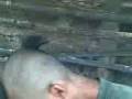 videos de Em0 kat! ng mga taga naic.3gp