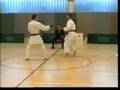 videos de Karate Luxembourg 2000 (4)