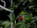 See you See you