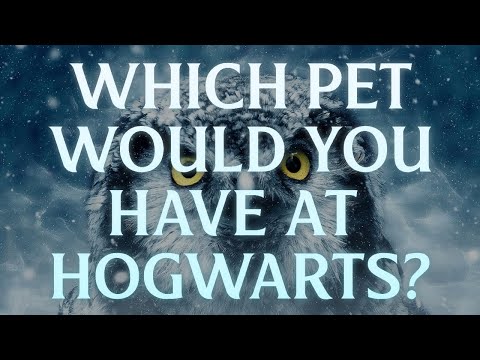 Which Pet Would You Have At Hogwarts? - Harry Potter Pet Quiz