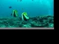 Maldives