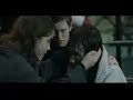 HarrY pOtTer aNdd hERmI (LA INCONDICIONAL)