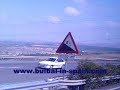 bulbal in spain