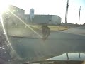 Honda Spree 1.1 Mile Wheelie
