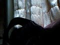 12 30 later in the day.wmv