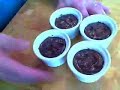 Chocolate Lava Cake