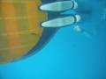 Ryuzo -100m CWT in Bahamas2008