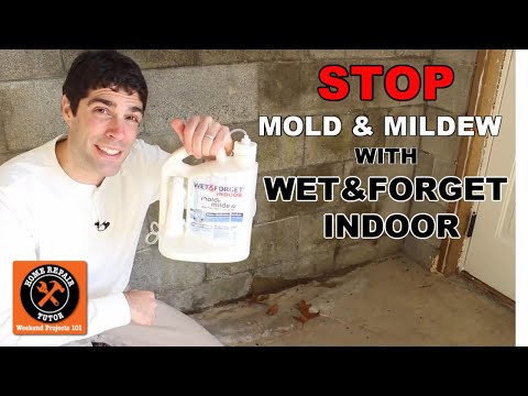 how to discover mold