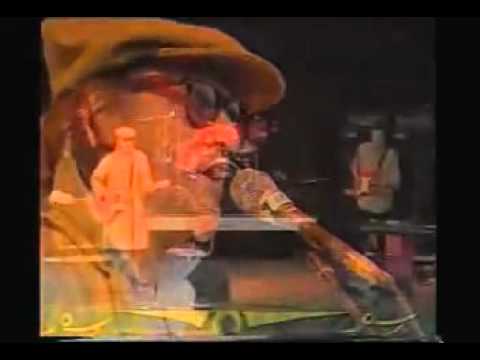 ray davies waterloo sunset - Ray Davies performing Waterloo Sunset at the Glastonbury Festival in 1996 or 1997.