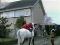 videos de De Sint heeft t ook niet makkelijk