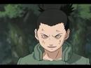 Comedy Ninjas (George Carlin as Shikamaru) Comedy Ninjas (George Carlin as Shikamaru)