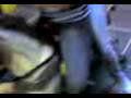 videos de Mardel 08
