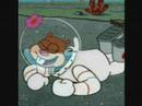 spongebob sings everyday