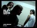 Jama - El Lobo - Acustico en PelaGatos - Reggae Jama - El Lobo - Acustico en PelaGatos - Reggae