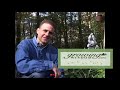 How To Grow The Perfect Herb Garden