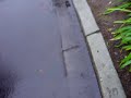 funny failed drift