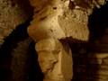 Flavigny sur Ozerain 18 Aout 2008 1er