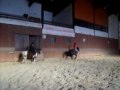 reprise a poons avec agathe  appoline  (3).AVI