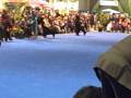 Adesa's Instant Acceleration Eukanuba 2008