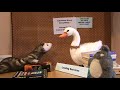 The Professional Librarian (02): Difficult Customers