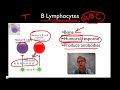 paul andersen explains how your body protects itself from invading viruses and bacteria. he starts by describing the nonspecific immune responses of skin and...