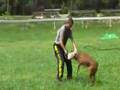 Zabajka-trening-ipo-