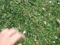 Lluvia en Cuernavaca con Hielo