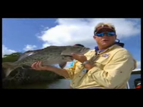 Shallow Water Grouper Fishing