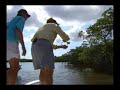 Shallow Water Grouper Fishing