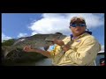 Shallow Water Grouper Fishing