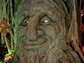 Tree Uncle