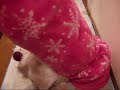 ???????????????(=^?^=)The cat which likes tunnels