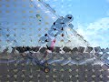 videos Surf