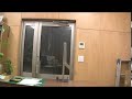 9分以上動き続ける不思議な二重振り子の動きのサムネイル1