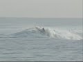 Surf Maldivas Setembro 2008