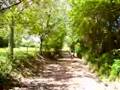 videos de xcvxcvx