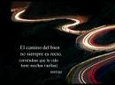 Taller 54 El Camino
